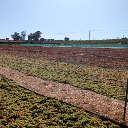 img-20230209-172729-small