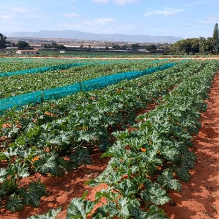 img-20230502-111952-small