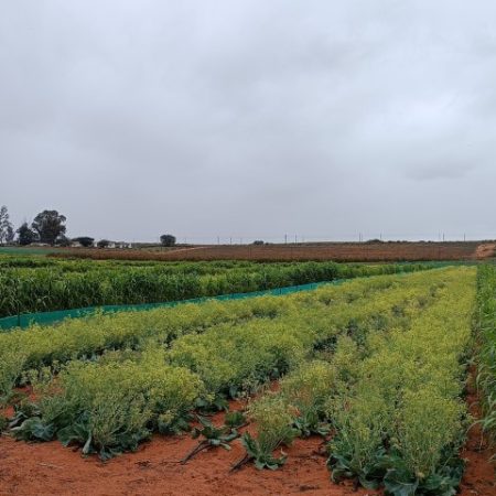 img-20230608-112737-small