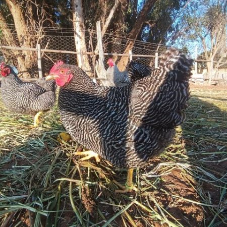 img-20231015-180200-small